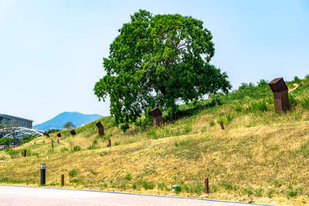 GIMHAE, SOUTH KOREA - JUNE 18, 2017 : Daeseong-dong Tumuli or tombs of Gaya kingdom in Gimehae, South Gyeongsang province, South Korea.のeditorial素材