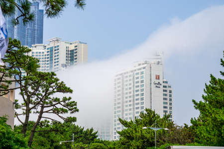 BUSAN,SOUTH KOREA - JULY 20, 2017: The large thick mist blow pass through skyscrapers in Haehundae,...