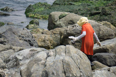 The bronze mermaid statue locate at the rock beach of Haeundae Dongbaekseom Island near Haehundae...
