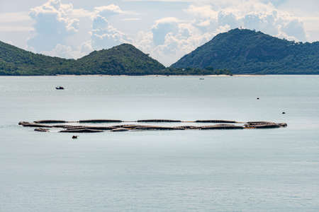 A floating buoy use for collect dirts, garbages debris and oil stain in the water to prevent sea...