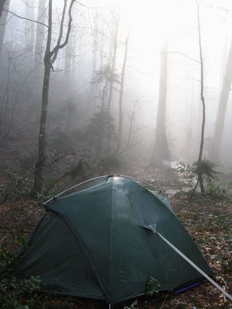Tent on the Caucasus forestの写真素材
