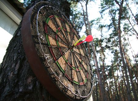Darts on the treeの写真素材