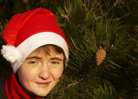 Portrait of young woman wearing santa claus hat on pine branchの写真素材