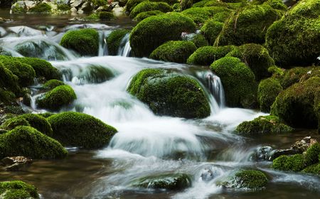 Waterfall movement on the stone backgroundの写真素材