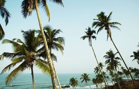 Tropical beach in Vagator,Indiaの写真素材