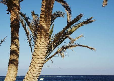 Tropical beachの写真素材