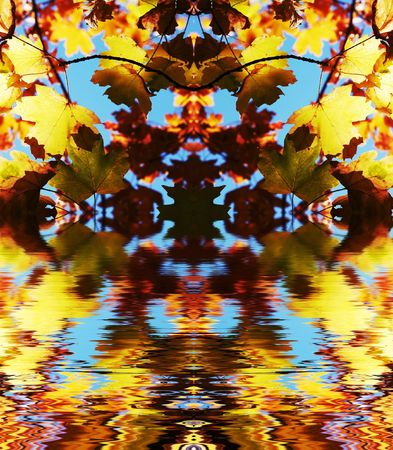 Autumn scene