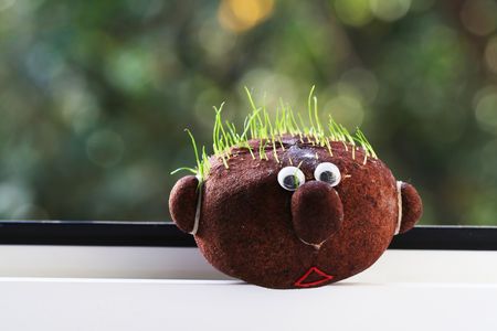 Garden decoration on windowの写真素材