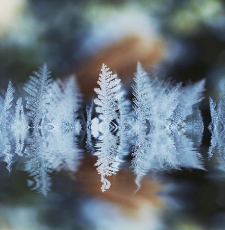 close-up of iceの写真素材