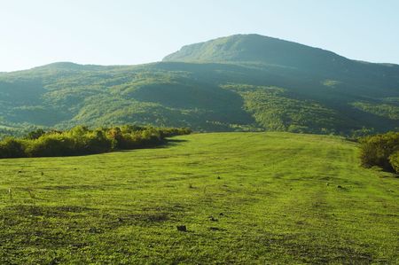 Green grassland in sunny day