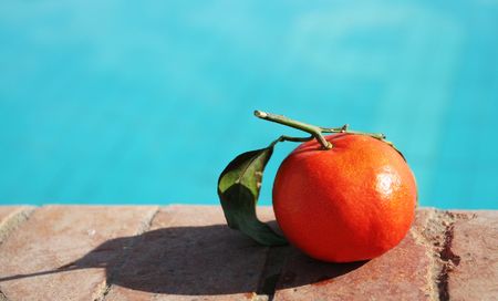 Tangerineの写真素材