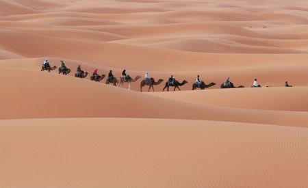 Caravan in Sahara desertの写真素材