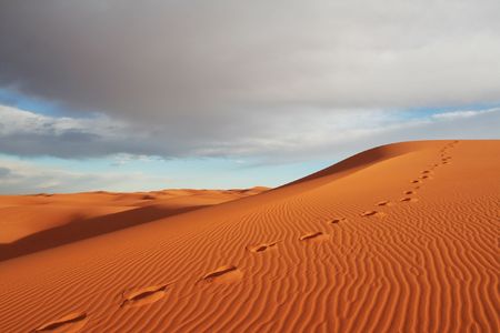 Desert