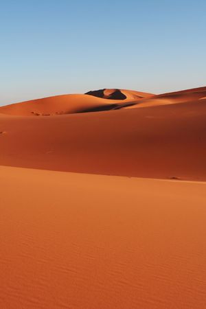 Sahara desertの写真素材