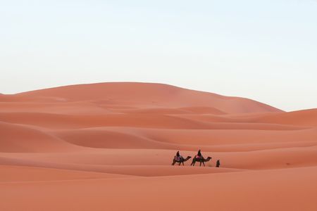 Caravan in Sahara desertの写真素材