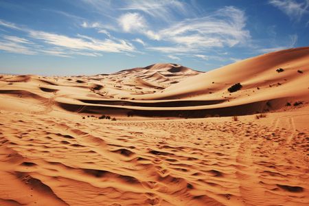 Desertの写真素材