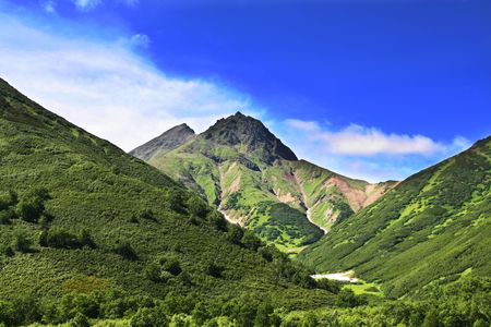 Green hillの写真素材