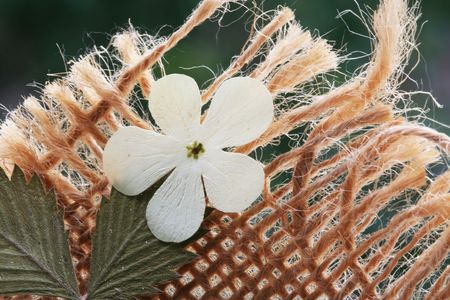 Flowers decorの写真素材