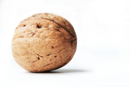 Walnutの写真素材