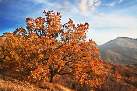 Autumn mountainの写真素材