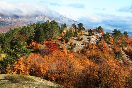 Autumn in mountainの写真素材