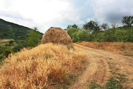 Rural landscapesの写真素材