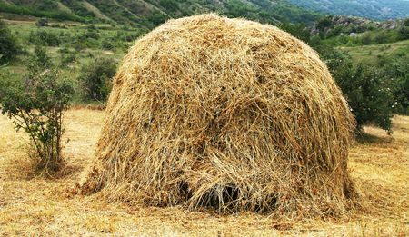 Rural landscapes