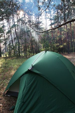 Tents in forestの写真素材