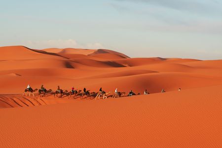 Caravan in Sahara desertの写真素材
