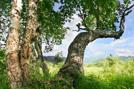 Landscapes in Kamchatkas mountainsの写真素材