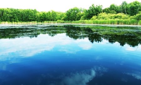 Summer lakeの写真素材