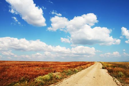 Road in fieldの写真素材