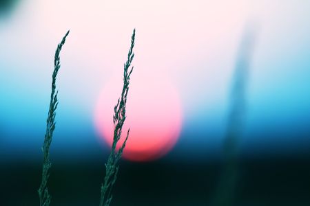 Sunset sceneの写真素材