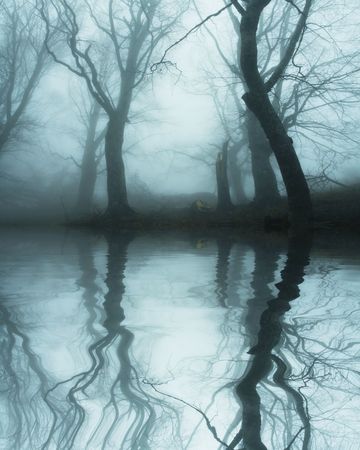 Magic forest of mistyの写真素材