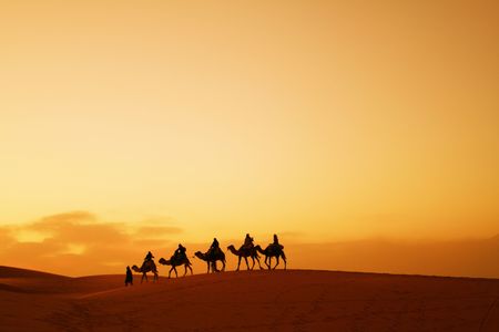 Caravan in Sahara desertの写真素材