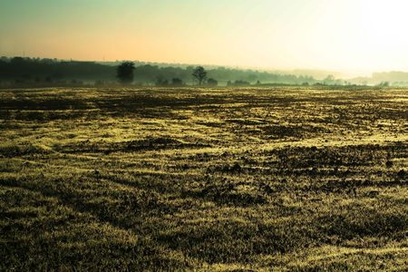 field on sunriseの写真素材
