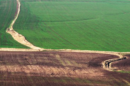 Fieldsの写真素材