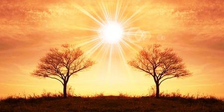 Sunset sceneの写真素材