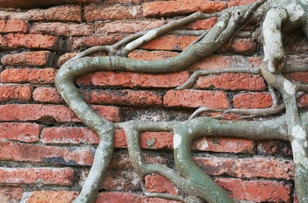 Brickの写真素材