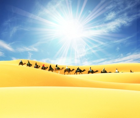 Caravan in Sahara desertの写真素材