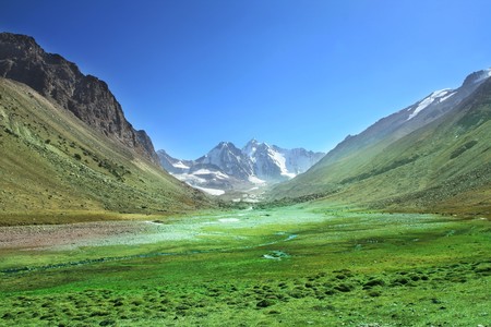 mountains meadow