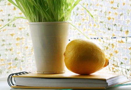 Lemon and grass on bookの写真素材