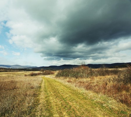 field