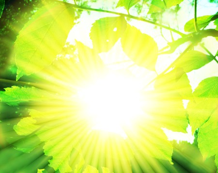 Spring sceneの写真素材