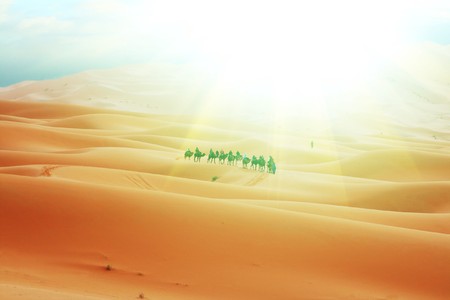 Caravan in Sahara desertの写真素材