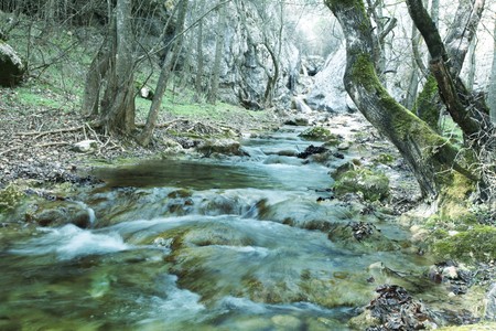 River