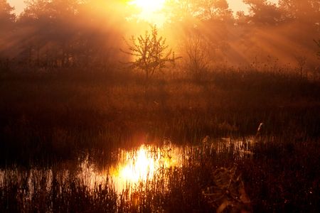 Sunrise scene on lakeの写真素材