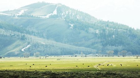 Rocky mountainsの写真素材