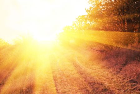 Autumn sceneの写真素材