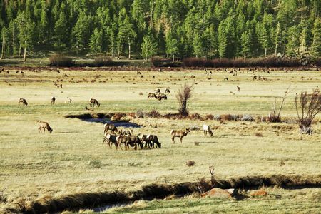 Rocky mountainsの写真素材